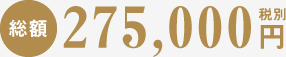 総額262,880円税抜